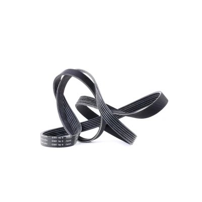 Abbildung von SKF VKMV 6PK1800 Keilrippenriemen 1800 6 OPEL: Vectra B Saloon, Astra F CC, FORD: Transit Mk4 Platform/Chassis
