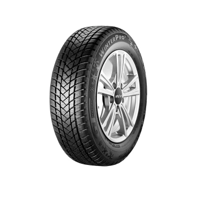 Abbildung von GT Radial WinterPro2 195/65 R15 95T PKW Winterreifen Reifen 100A4929