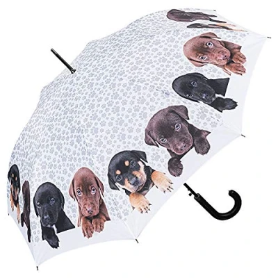 Abbildung von VON LILIENFELD Regenschirm Welpenquartett Auf Automatik Damen Hunde Kinderschirm Stockschirm