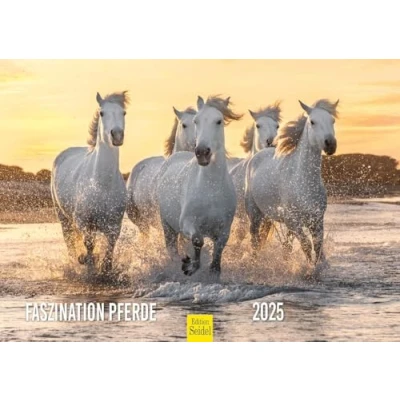 Abbildung von Edition Seidel Premium Kalender Faszination Pferde 2025 Format DIN A4 Wandkalender Pferdekalender Pferd Tiere Fohlen Stute Hengst Pony