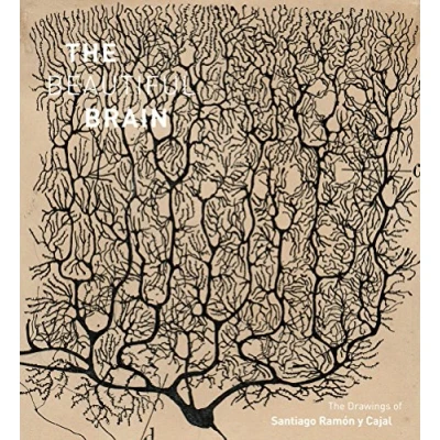 Abbildung von The Beautiful Brain: Drawings of Santiago Ramon y Cajal