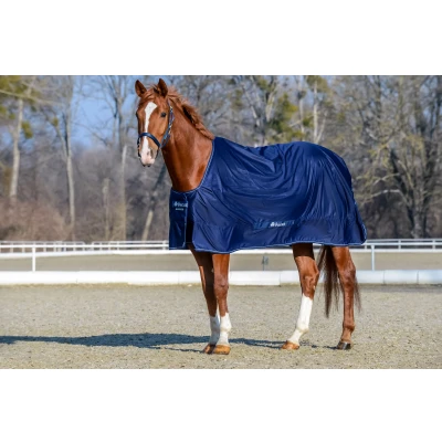Abbildung von Bucas Kleeblatt Kraft / Navy Zilver Unterlänge: 107 cm &amp; Rückenlänge: 85
