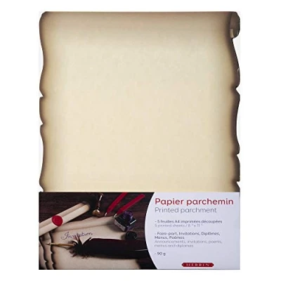 Abbildung von J.Herbin 427B Packung mit 5 Blatt Kalligraphie Papier Mittelalter, DIN A4, elfenbein