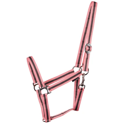 Abbildung von Harry&#039;s Horse Halfter Economy Full Rosa / Grau