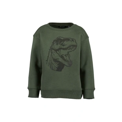 Abbildung von Blue Seven Sweatshirt für Kinder, Größe: 98, Oliv