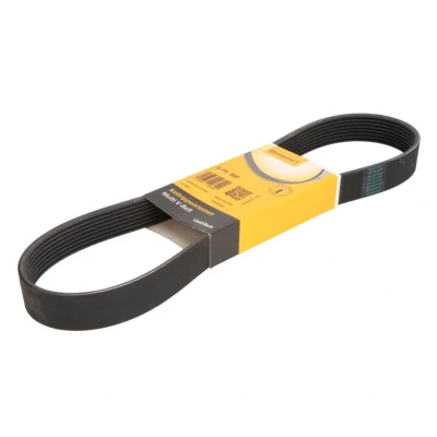 Abbildung von CONTITECH 8PK880 Keilrippenriemen 880 8