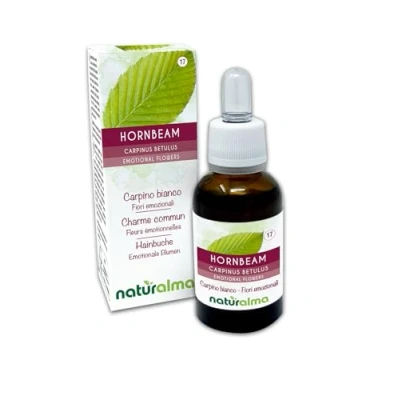 Abbildung von Hornbeam oder Hainbuche (Carpinus betulus) Bach Blüten Naturalma Tropfen 30 ml Alkoholfreier Flüssigextrakt Blütenessenzen Vegan und alkoholfrei
