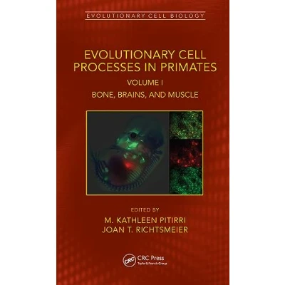 Abbildung von Evolutionary Cell Processes in Primates: Genes, Skin, Energetics, Breathing, and Feeding (Evolutionary Biology, 2)