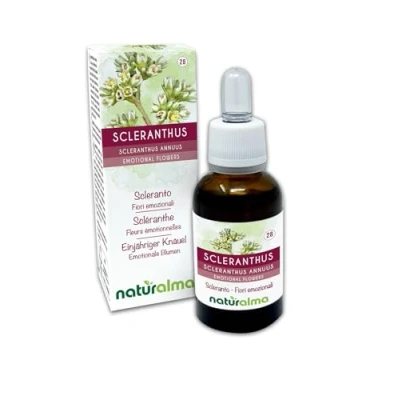 Abbildung von Scleranthus oder Einjähriger Knäuel (Scleranthus annuus) Bach Blüten Naturalma Tropfen 30 ml Alkoholfreier Flüssigextrakt Blütenessenzen Vegan und alkoholfrei