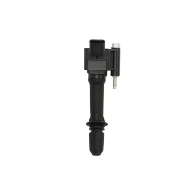 Abbildung von DELPHI GN10797 12B1 Zündspule 4 12 OPEL: Adam, Corsa E Hatchback, Mokka / X