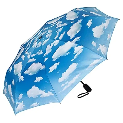Abbildung von VON LILIENFELD Regenschirm Taschenschirm Wolken Bayrischer Himmel Windfest Auf Zu Automatik Stabil Leicht Kompakt